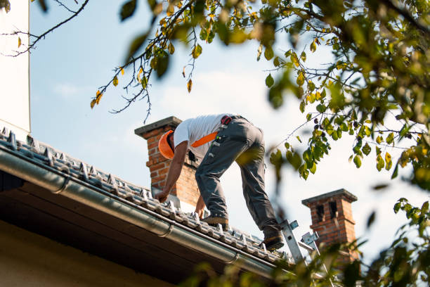 Roof Gutter Cleaning in Carson, WA